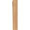 Ekena Millwork Traditional Slat Smooth Bracket, Western Red Cedar, 3 1/2"W x 18"D x 22"H BKT04X18X22TRA06SWR - alternate 3